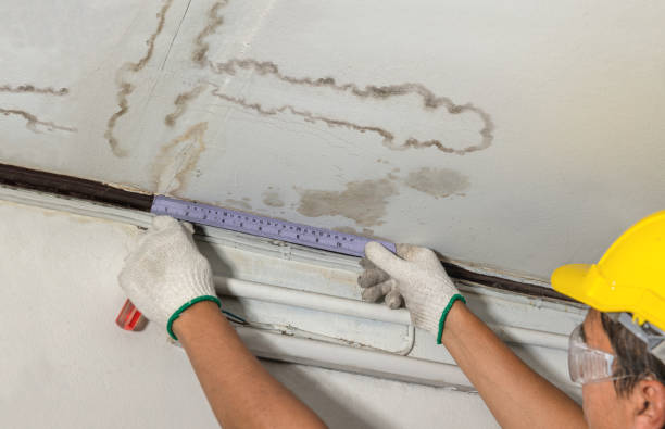 Reliable Water Damage contractor in Alexandria, VA by Water Damage Irwin